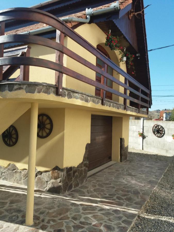 Casa Vlasea Albesti Sighisoara Bed & Breakfast Luaran gambar
